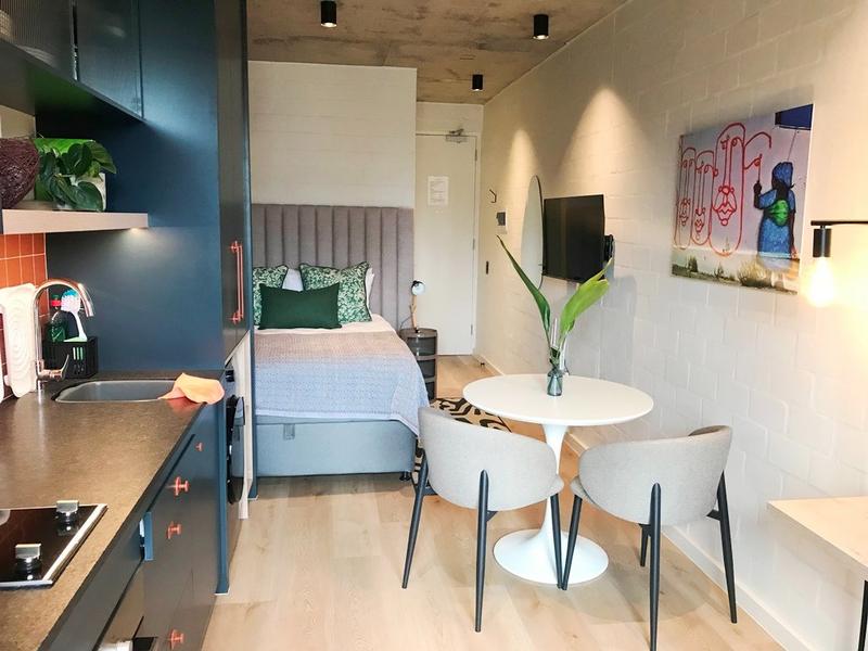 To Let 0 Bedroom Property for Rent in Sea Point Western Cape